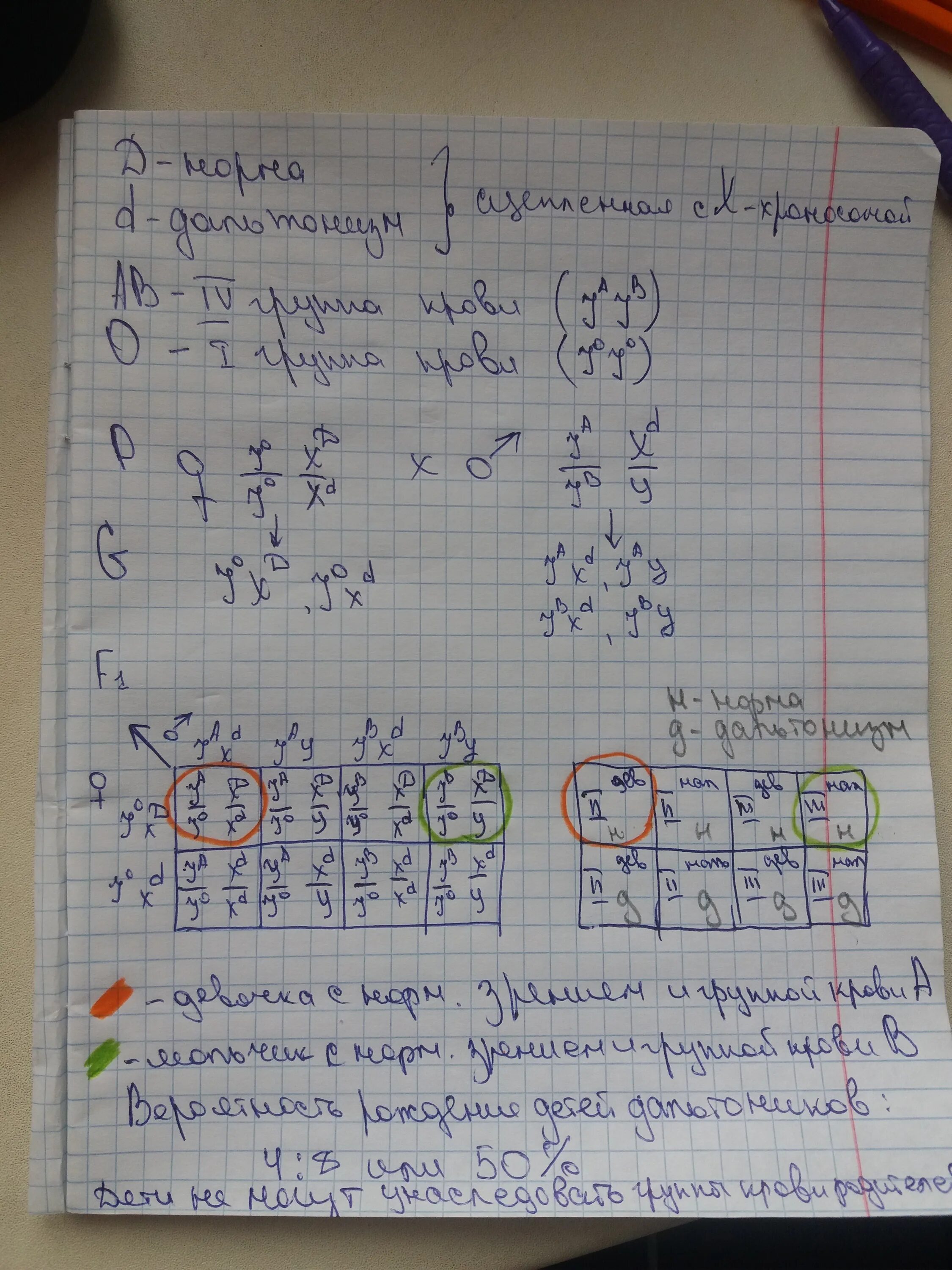 Мужчина страдающий глухотой и дальтонизмом. Задачи на дальтонизм с решением. Мужчина страдающий дальтонизмом и глухотой женился на женщине. Мужчина с нормальным зрением женился на женщине дальтонике. Мужчина страдающий дальтонизмом и глухотой с 4 группой крови.