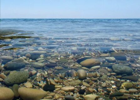 Где чистое черное море