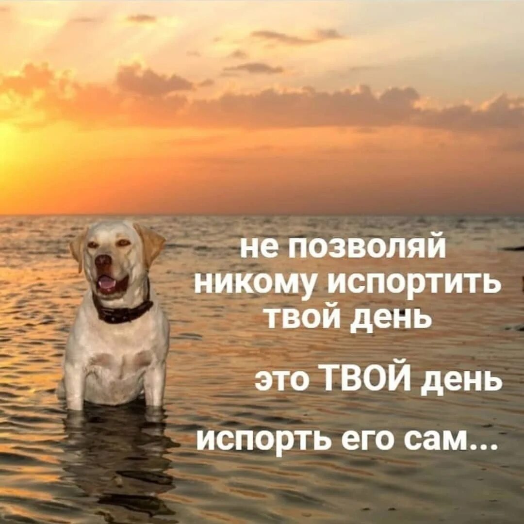 Никто не портил