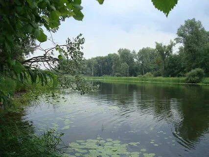 Водоемы самарской