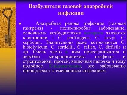 Газовая инфекция