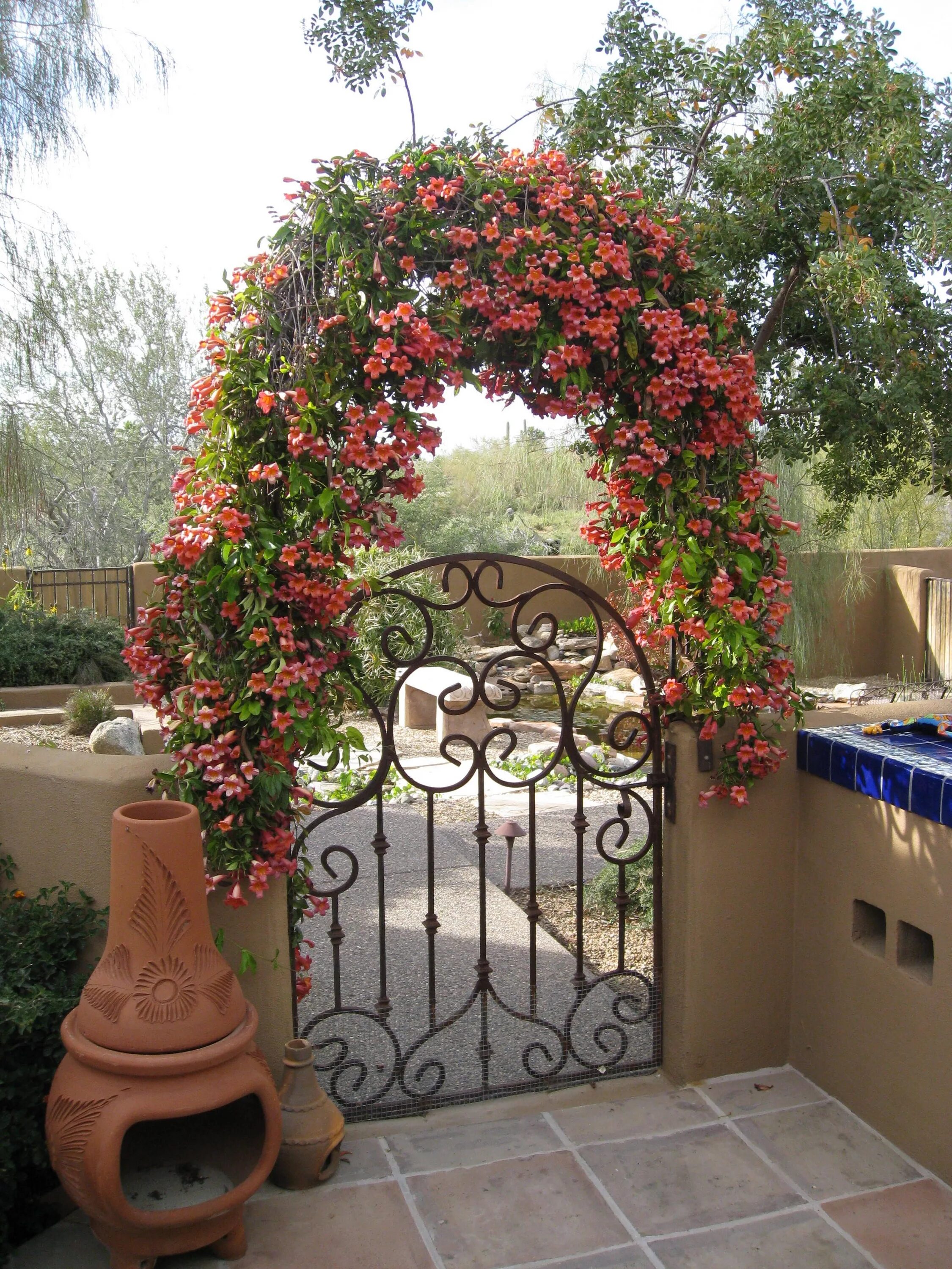 Феодосийский парк с аркой. Чёрное озеро казань арка. Арка перисада. Арки перед. Арки перед.