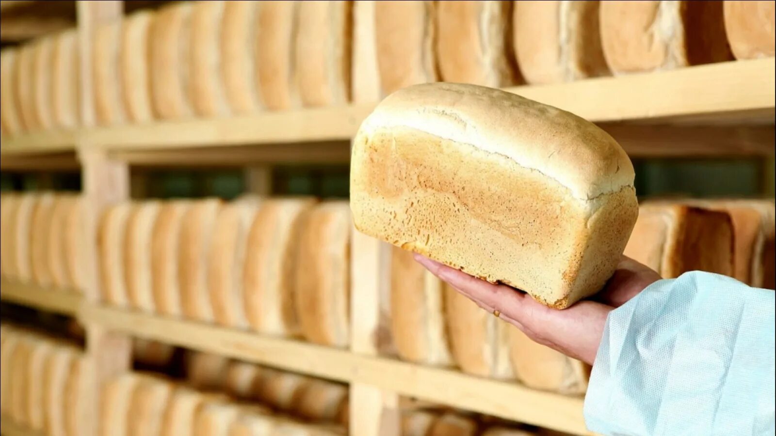 We ve got bread. Хлеб Буханка. Выпечка хлеба. Выпечка хлеба на хлебозаводе. Поставщики хлеба и хлебобулочных изделий.