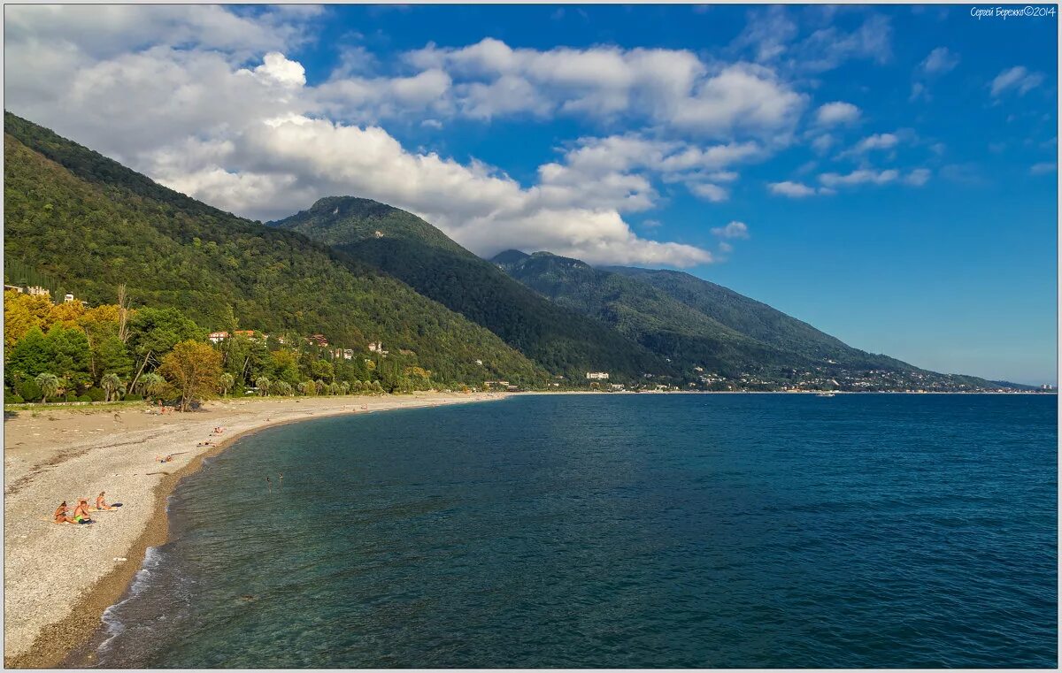 гагра мюссера пляж сосны. пицундский заповедник абхазия. новый афон абхазия. природа абхазии пицунда. гагра пляж 2023.
