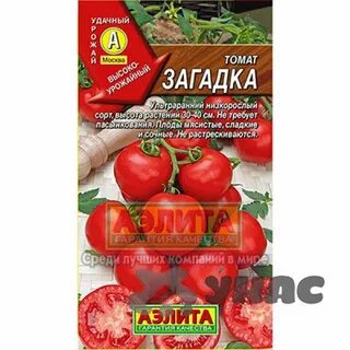 Помидор загадка отзывы