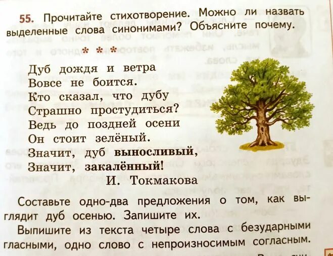 2 предложения про дуб осенью. Предложения про осенний дуб. 2 предложения про дуб осенью. Описание осеннего дуба. Составить два предложения как выглядит дуб осенью.