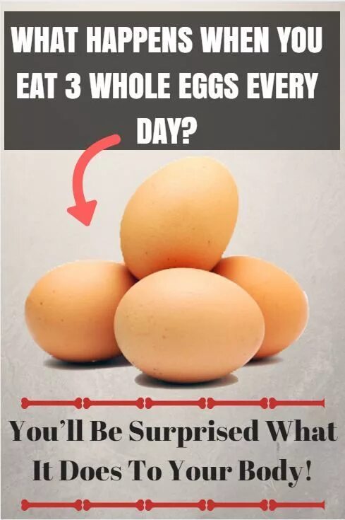 They like likes eggs. Can you eat Eggs every Day?. Картинка с упражнениями Eggs, Eggs, Eggs everywhere.