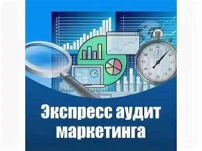 Экспресс аудит
