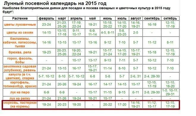 Благоприятные дни для заквашивания капусты CoffMachines.ru