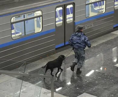 Самые специальные