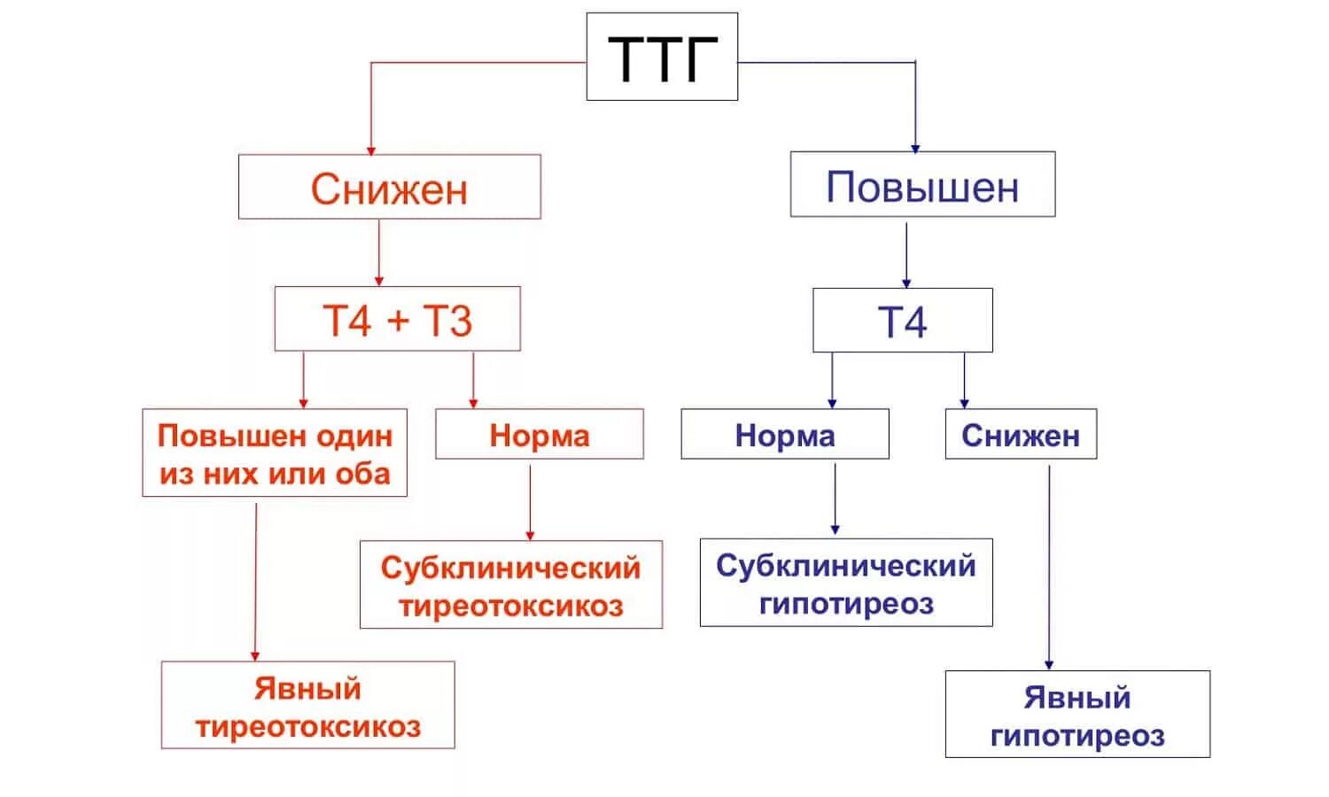 Ттг повышены это что означает. Норма гормонов ТТГ таблица. ТТГ гормон 4.60. Показатели гормонов т3 т4 при гипертиреозе. Повышение ТТГ при нормальных т3 и т4.