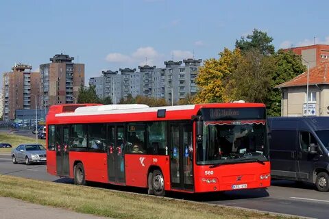 Автобус 560