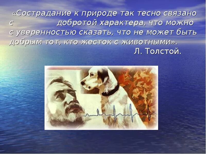 В каком рассказе есть добро. Произведения о милосердии. сказки о милосердии. животные в литературе. сострадание к животным так тесно связано с добротой характера.