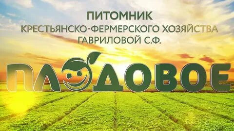 Плодовый муром