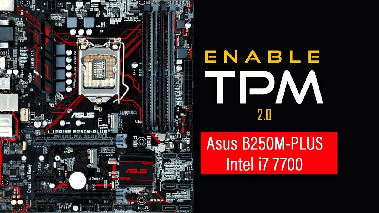 Asrock tpm 2.0. ASUS Prime b250-Plus. Prime b250m-Plus. ASUS Prime b250m-a. TPM 2.0 MSI.