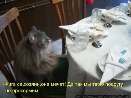 Она хозяин чего