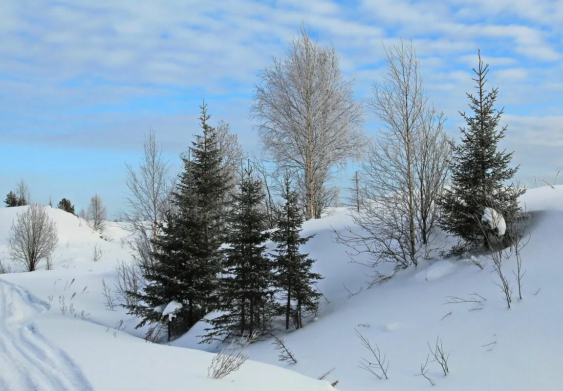 Февраль картинки. Февраль месяц природа. Февральская природа. Картинки февраль природа. Полный месяц февраля