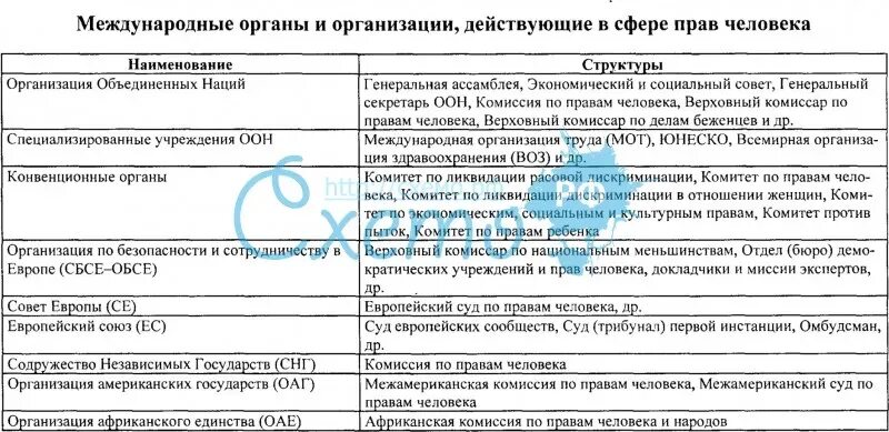 Международные органы защиты прав человека таблица. Структура международных органов защиты прав человека таблица. Международные организации таблица. Международные организации по защите прав человека таблица.