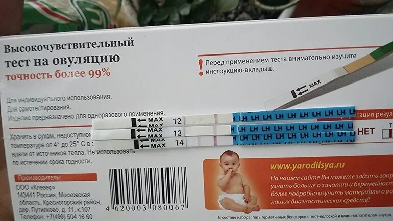 Тест на овуляцию. Высокочувствительный тест на овуляцию. Тест на овуляцию Результаты. Тест на овуляцию я родился.