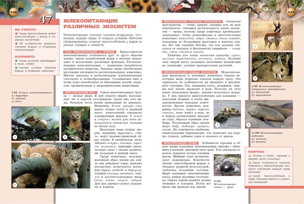 экотоксикология. млекопитающие водных экосистем. экосистема млекопитающих. много животных. экосистема млекопитающих.