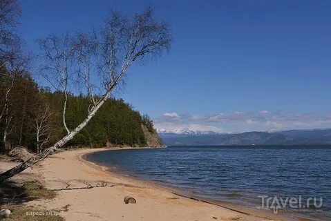 Остров ярки