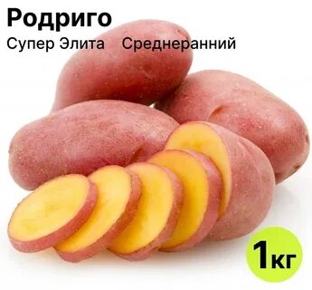 Сорт картофеля рикардо