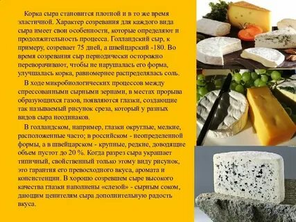 Сорт сыра 5 букв сканворд