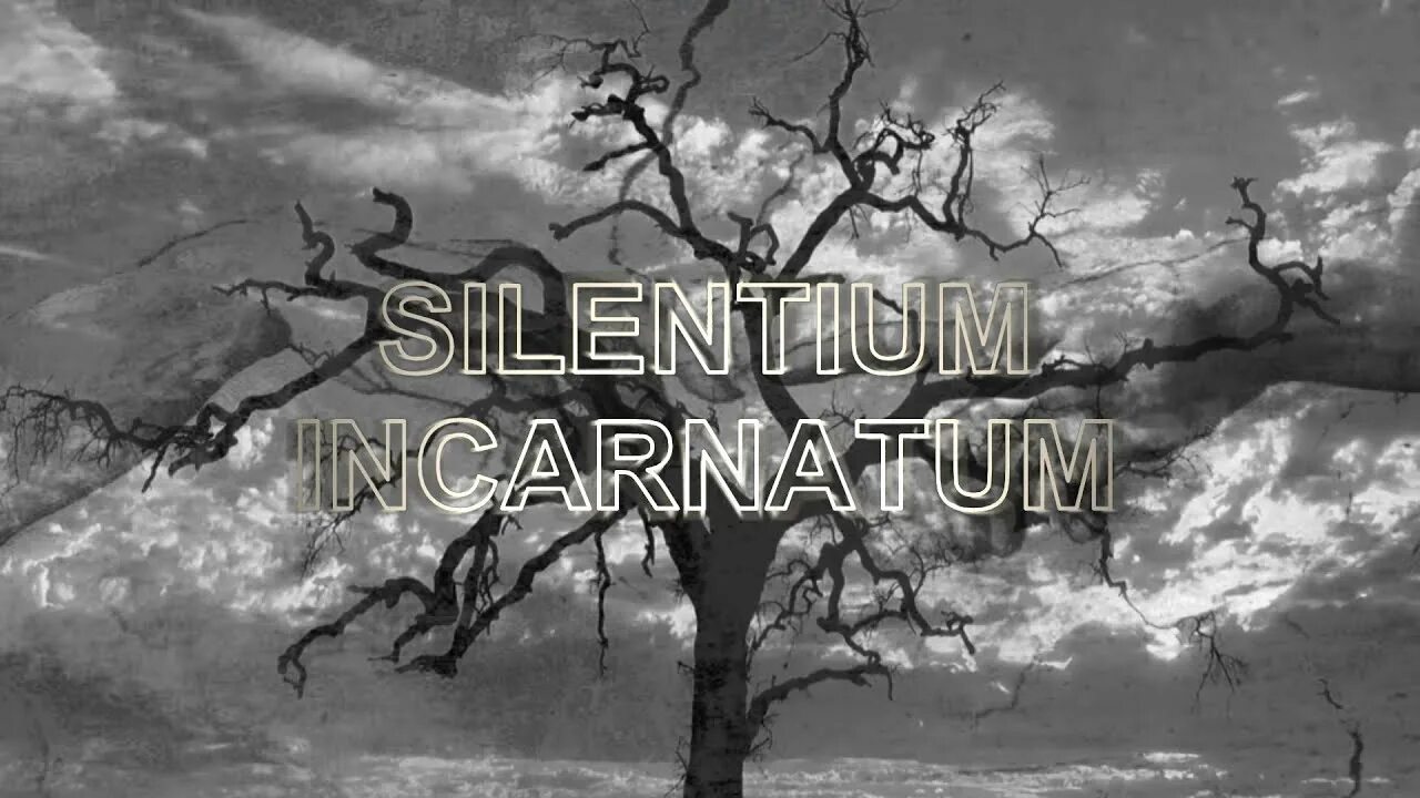 Silentium мандельштам. Силентиум. Silentium incarnatum. Silentium Band. Силентиум ЭСТ Аурум.