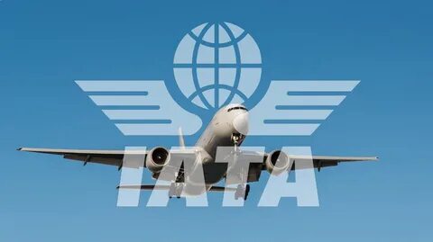 Международная организация воздушного транспорта