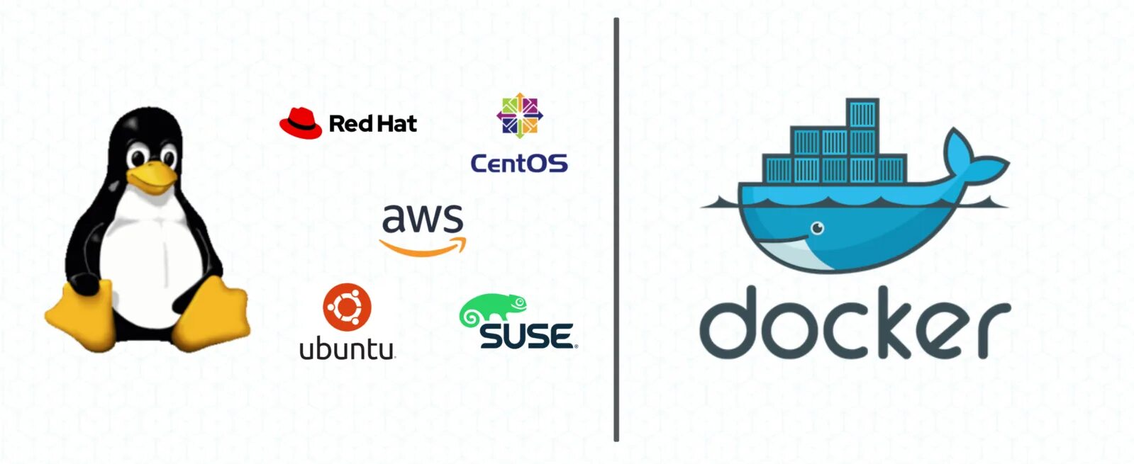 Docker security. Docker linux. docker ubuntu. docker linux logo. картинки докер секьюрити.