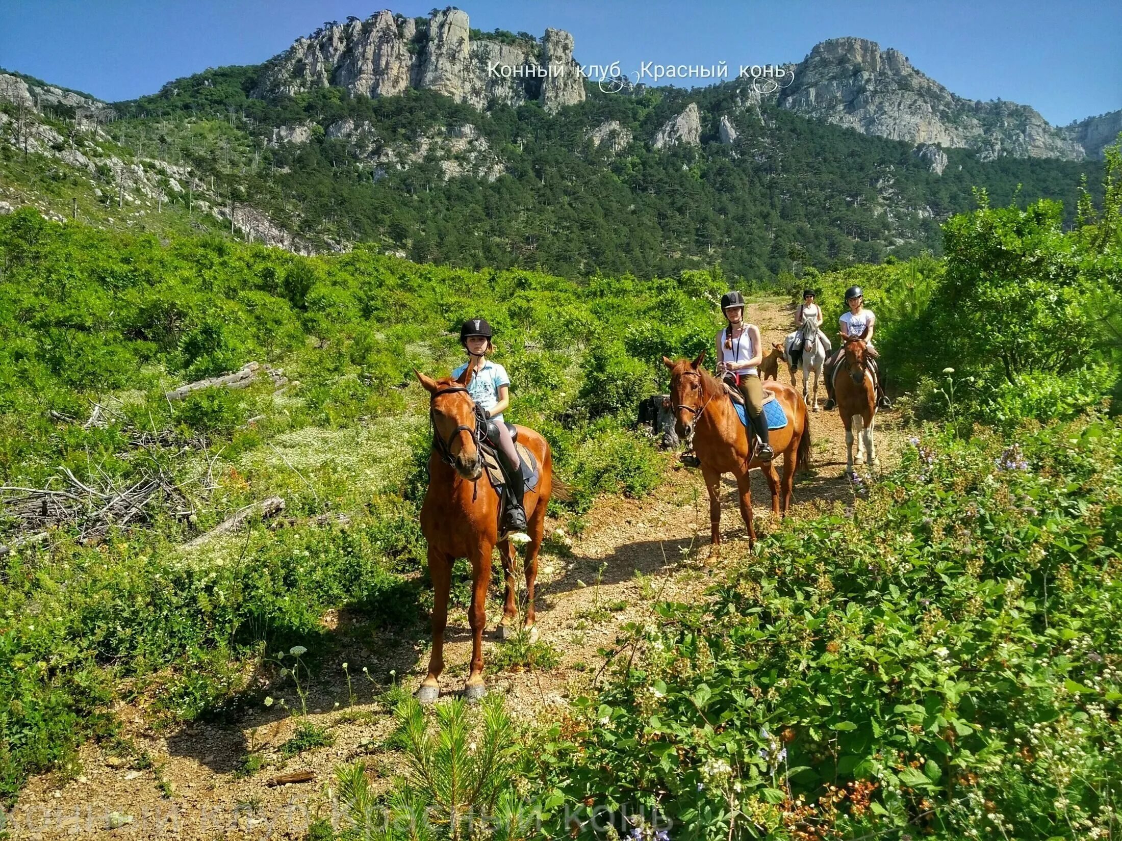 Конные прогулки дербент. Бзыбское ущелье конные прогулки. бзыбское ущелье абхазия конные прогулки. ай петри конные прогулки. конные прогулки анапа сукко.