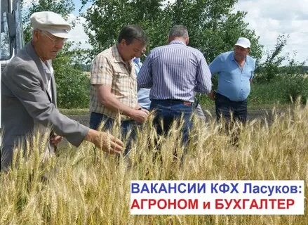 Кфх приволье