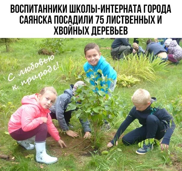 Посадка деревьев отчет. Посадка деревьев. дети сажают деревья. посадка деревьев школьниками. посадка деревьев весной.