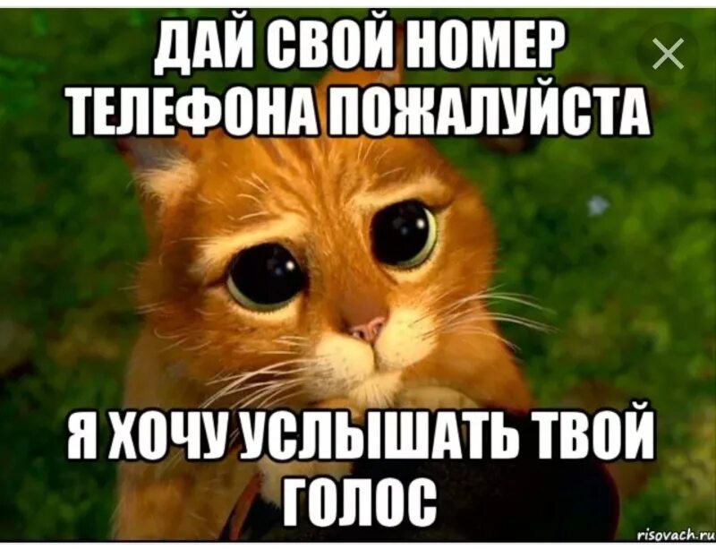 Просто давай своим голосом. Дай свой номер. Номер дай свой пожалуйста. Дай номер телефона. Напиши пожалуйста номер телефона.