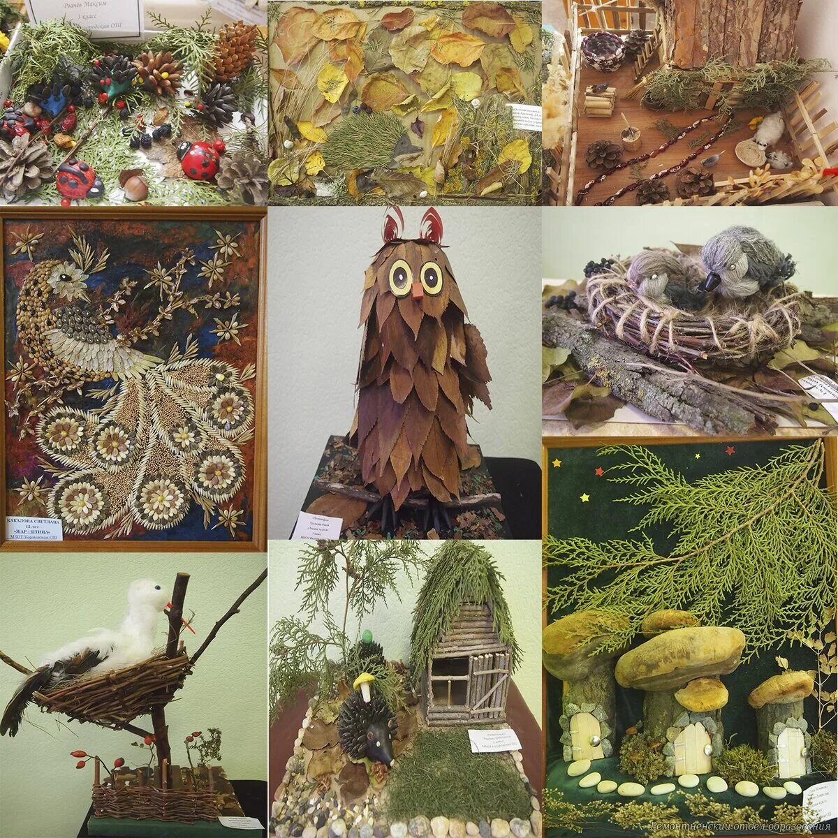 Природный материал для поделок. Природный материал для поделок. Природный материал. Программа природные материалы. Природный материал.