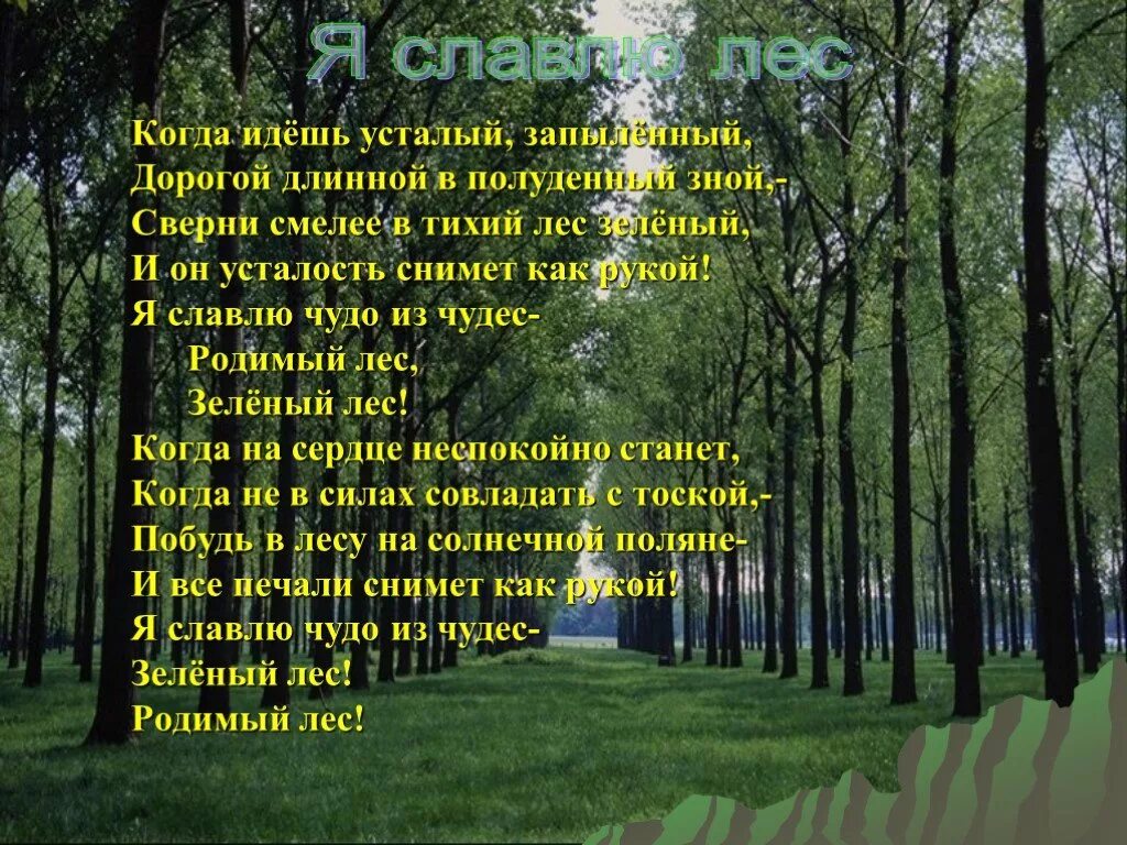 Песня тихо в лесу текст. Стих когда идем в лес. Заходи в зеленый лес. Лесные Слава. Лес наш друг проект для 1 класса.