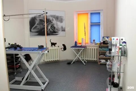 Зоосалон одинцово