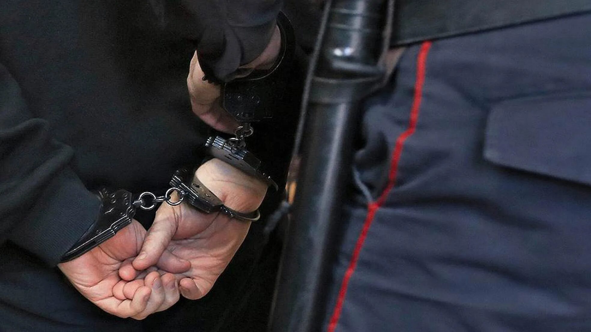 Полиция России задержание.