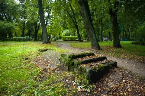 Парке балтийский