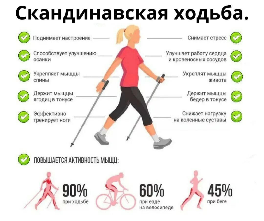 Скандинавская ходьба. Техника скандинавской ходьбы. Методика скандинавской ходьбы. Скандинавская ходьба техника ходьбы. Силовая ходьба что это