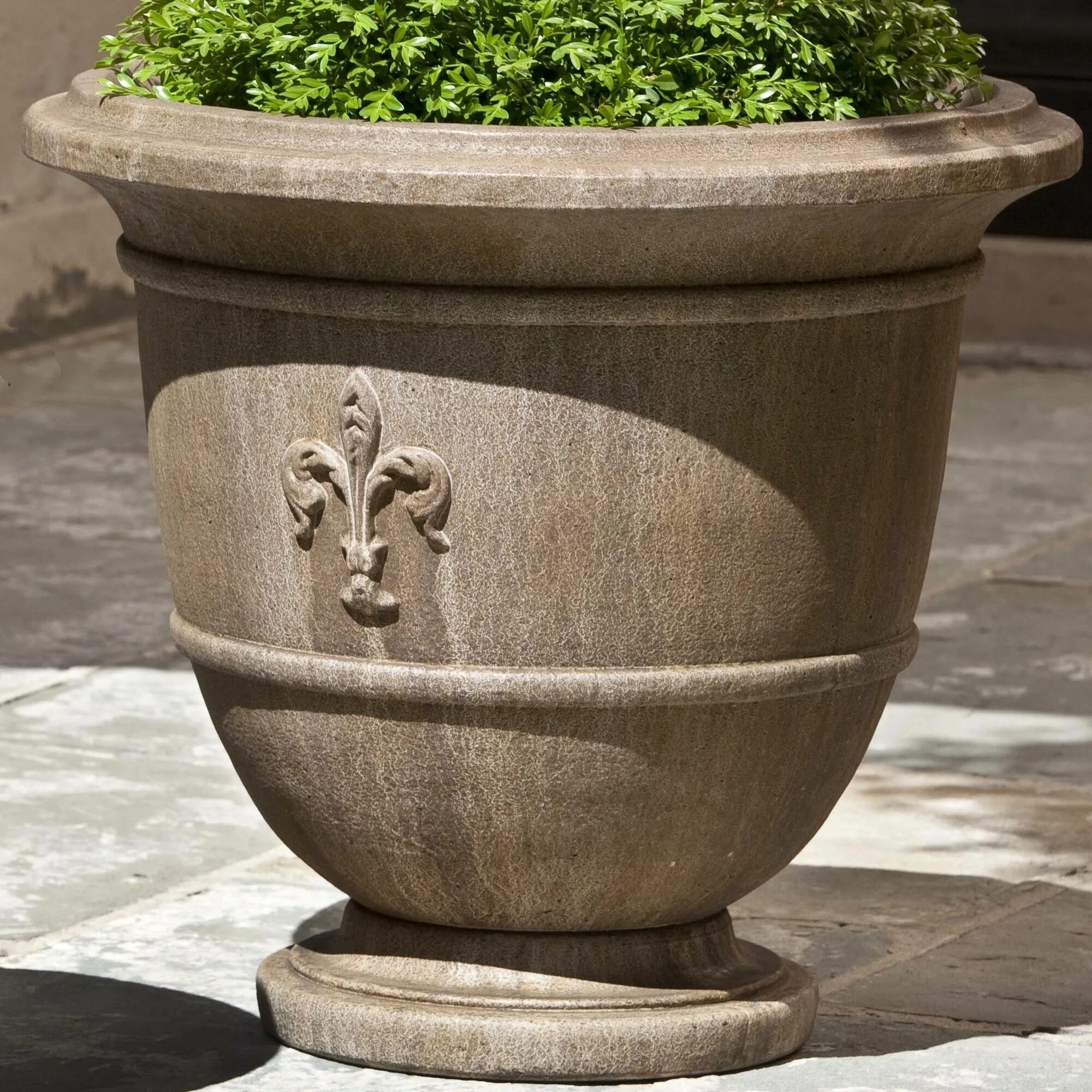 Вазон max planter-1121. Вазоны уличные. Уличные деревья в горшках. Бетонные вазоны для цветов. Кашпо вингарден.