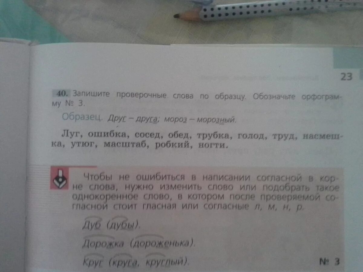 Ногти проверочное слово. Робкий проверочное слово. Обед проверочное слово. Ногти проверочные словаюо.