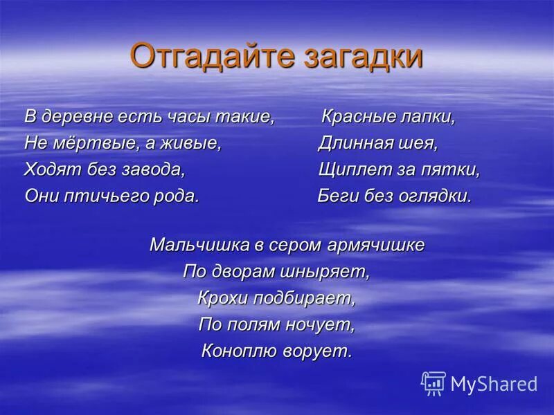 Загадки. Загадка про деревню. Загадки про родную деревню. Загадка про деревню для детей.