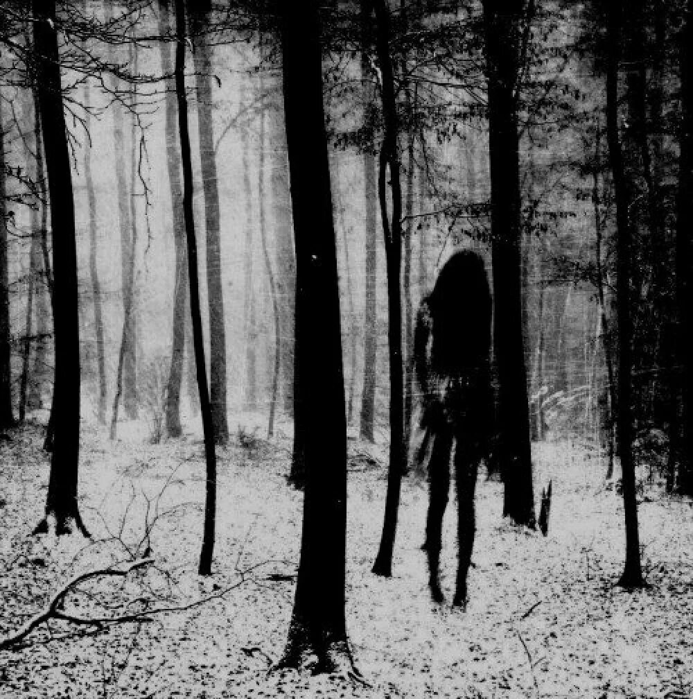 Forest of fear