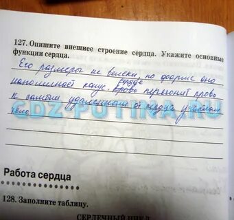 Тетрадь по биологии 8 класс сонин