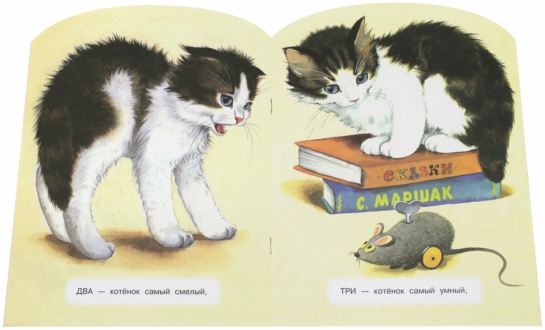 Книга Сергея Михалкова котята. Рассказ Сергея Михалкова котята.