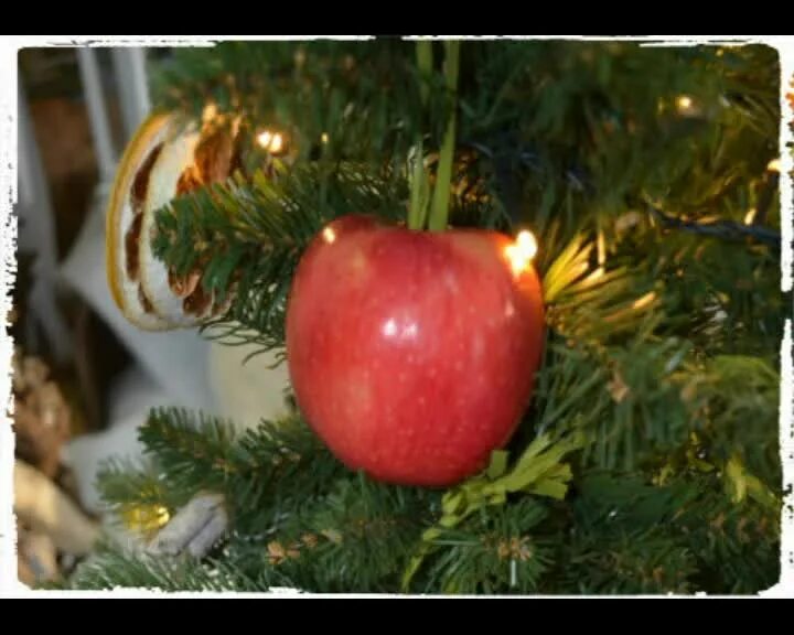 Украшенные яблоки. Съедобные украшения на елку. Елка украшенная яблоками. Новогодняя елка с яблоками. Елка наряженная яблоками.