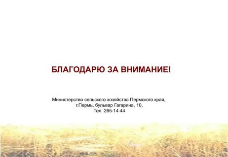 Сайт министерства сельского хозяйства пермского края