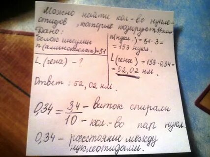 Известно что 51