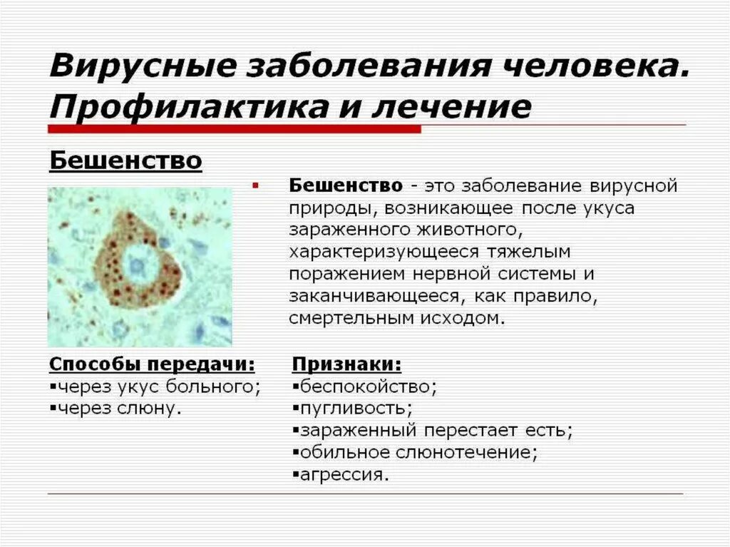 Названия вирусов человека. Профилактика вирусных заболеваний биология 5 класс. Сообщение на тему вирусные заболевания и их профилактика. Вирусы и вызываемые ими заболевания.